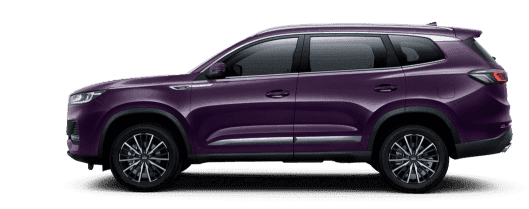 Tiggo 8 Pro Max