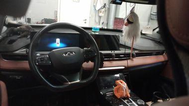 Chery Tiggo 8 Pro Max
