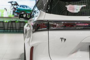 TENET T7
